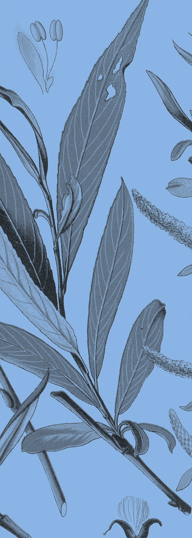 Universit� de Strasbourg - Conception et design graphique