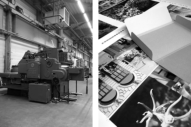 Universit� de Strasbourg - Conception et design graphique