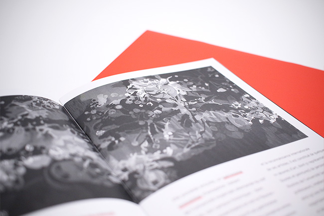 Universit� de Strasbourg - Conception et design graphique