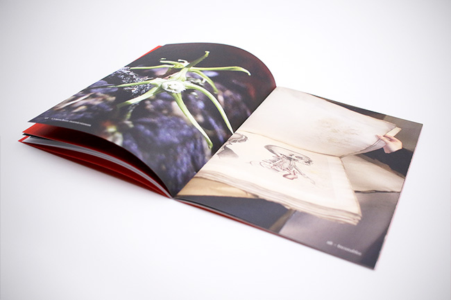 Universit� de Strasbourg - Conception et design graphique