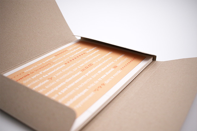 Universit� de Strasbourg - Conception et design graphique