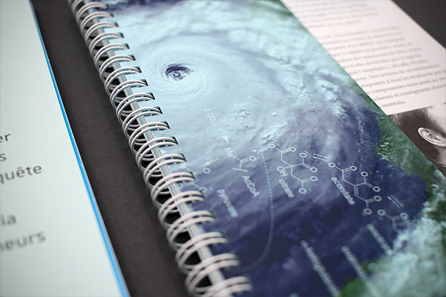 Universit� de Strasbourg - Conception et design graphique