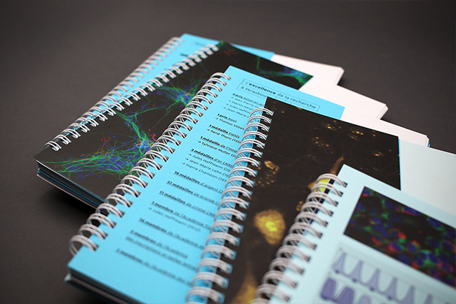 Universit� de Strasbourg - Conception et design graphique