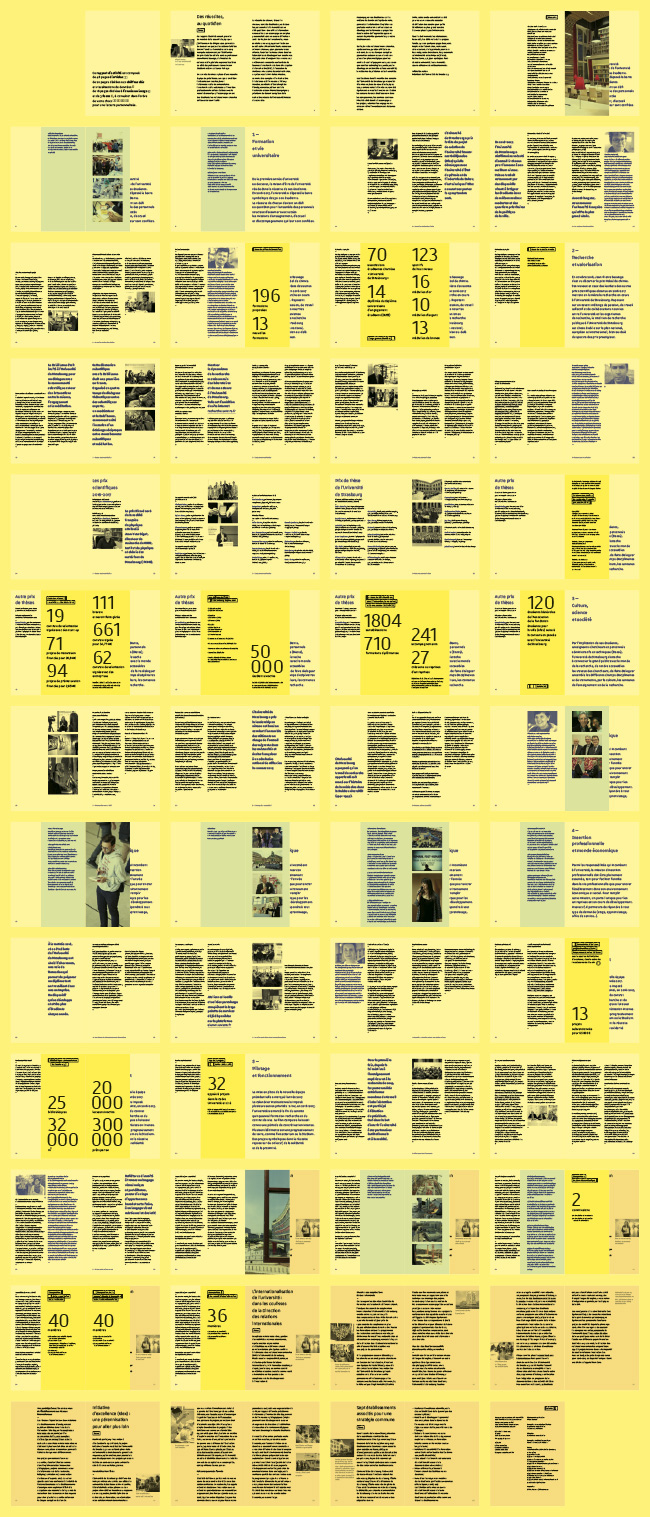 Universit� de Strasbourg - Conception et design graphique