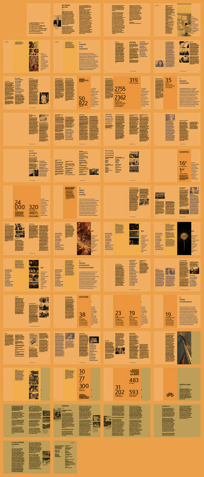 Universit� de Strasbourg - Conception et design graphique