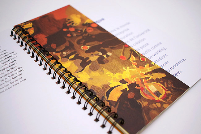 Universit� de Strasbourg - Conception et design graphique