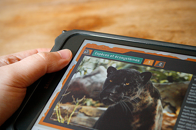 graphiste freelance - parc zoologique Paris graphiste freelance - parc zoologique Paris