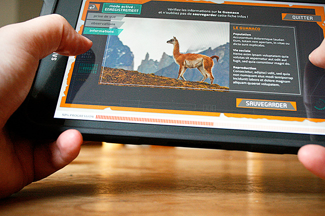 graphiste freelance - parc zoologique Paris graphiste freelance - parc zoologique Paris