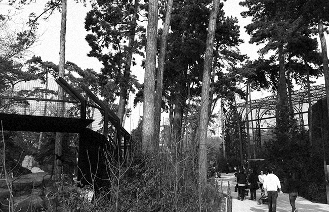 graphiste freelance - parc zoologique Paris graphiste freelance - parc zoologique Paris
