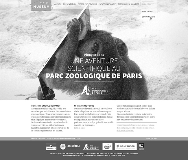 graphiste freelance - parc zoologique Paris graphiste freelance - parc zoologique Paris